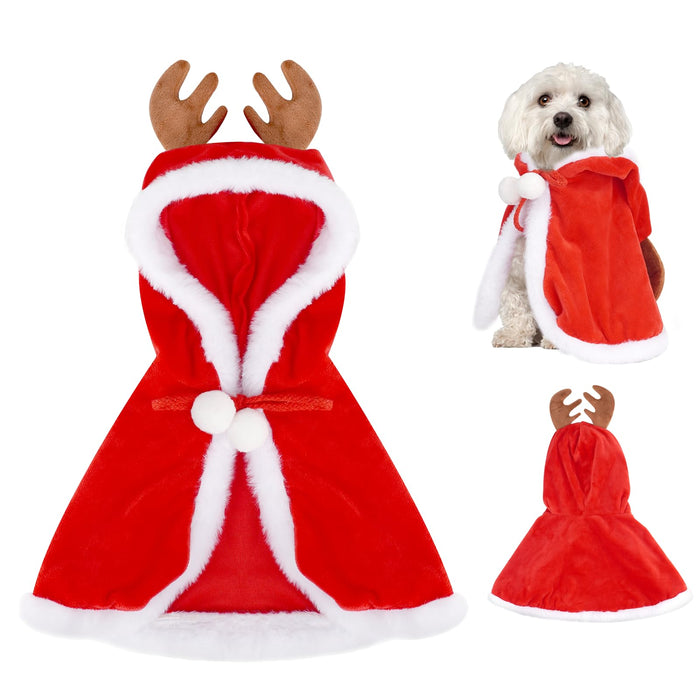 Small white dog wearing the red velvet reindeer cape with antlers